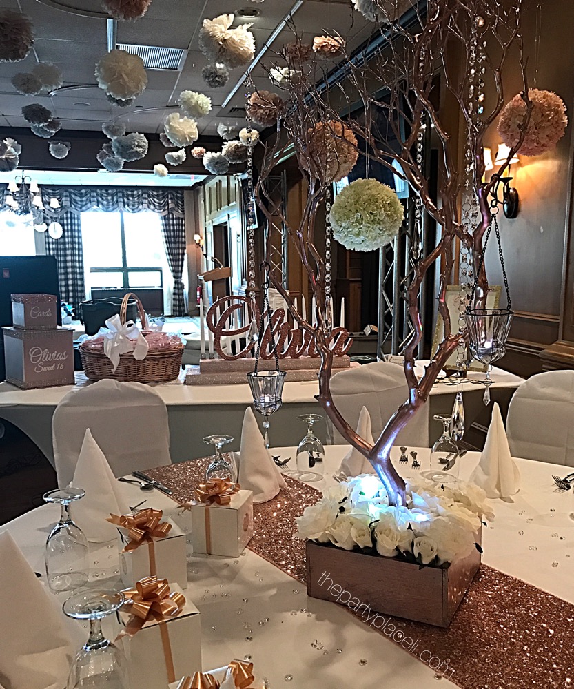 Sweet cheap sixteen decorations
