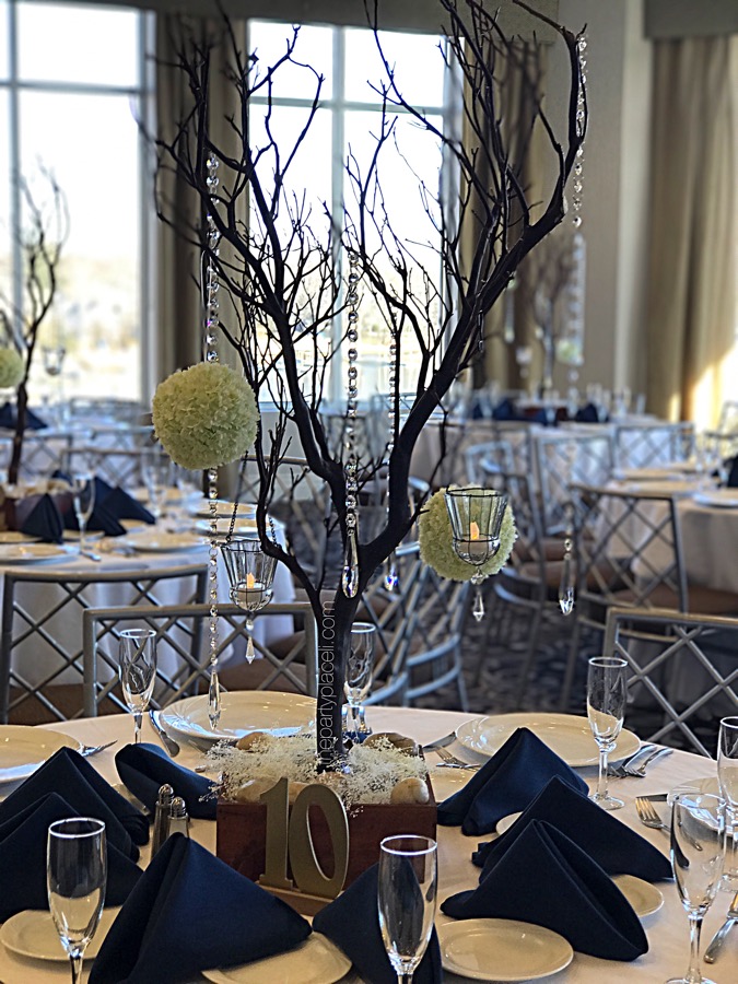 Long Island Centerpiece Manzanita Tree rental